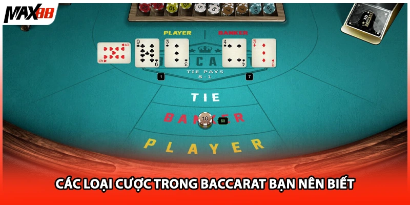 Các loại cược trong baccarat bạn nên biết