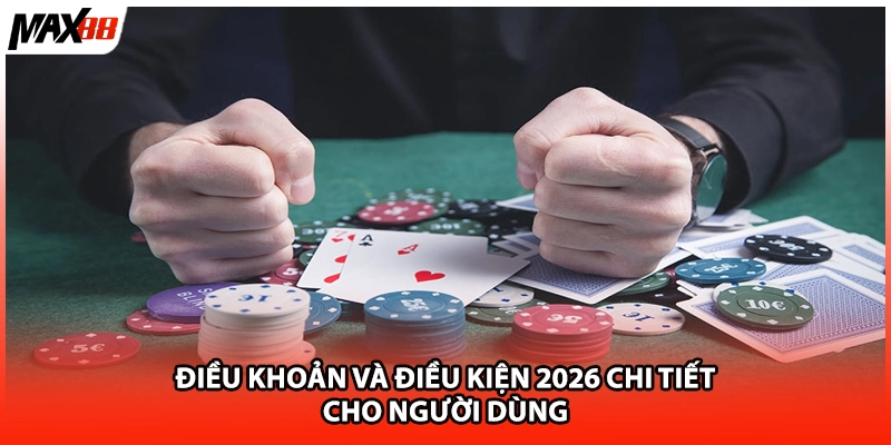 Điều khoản và điều kiện 2026 chi tiết cho người dùng
