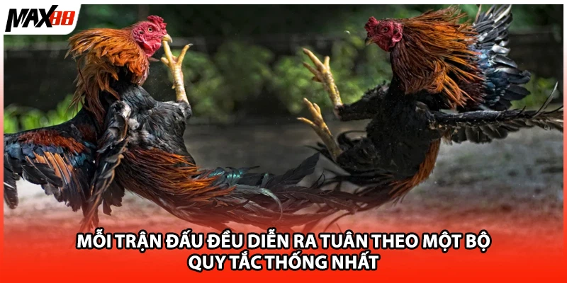 Mỗi trận đấu đều diễn ra tuân theo một bộ quy tắc thống nhất