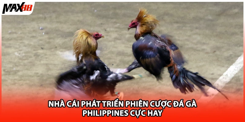 Nhà cái phát triển phiên cược đá gà Philippines cực hay