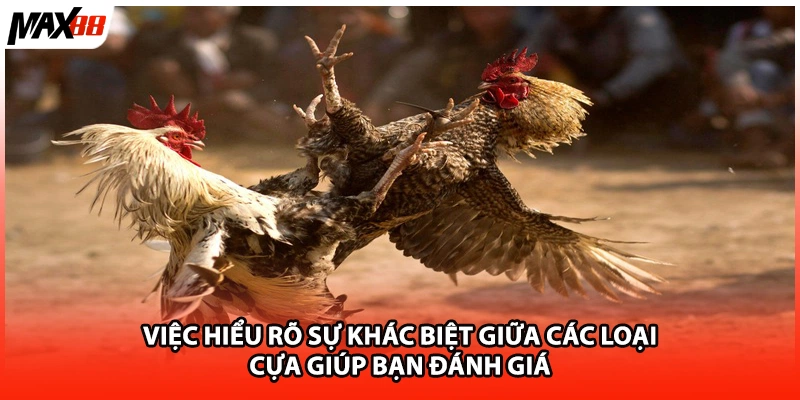 Việc hiểu rõ sự khác biệt giữa các loại cựa giúp bạn đánh giá