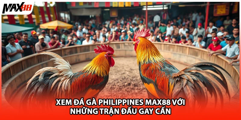 Xem Đá Gà Philippines Max88 Với Những Trận Đấu Gay Cấn